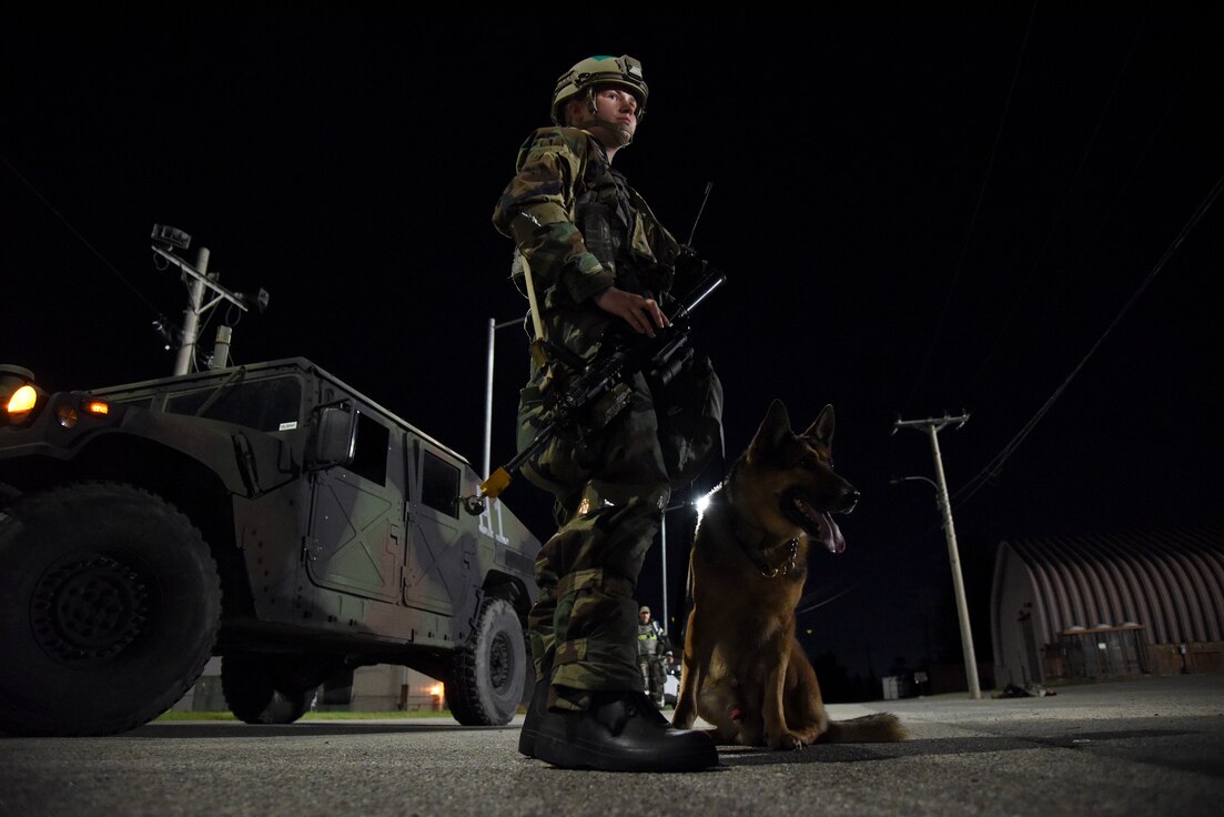 Senior Airman Cierra Ratliff, 51st Security Forces Squadron military working dog handler and MWD Beny, await further instructions during a routine training event
