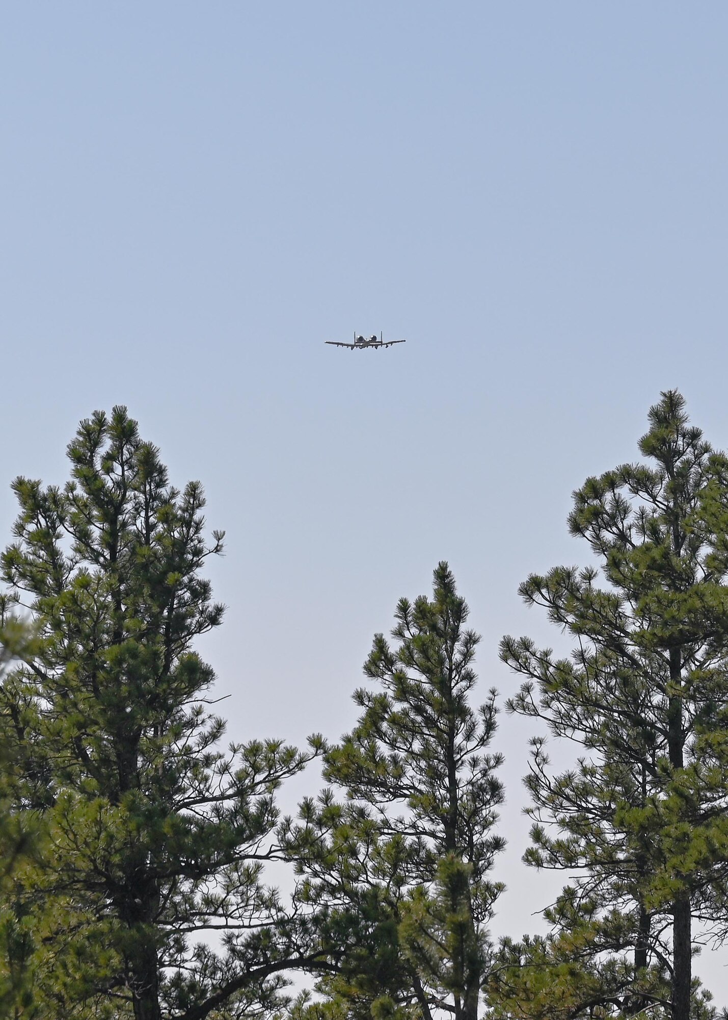 Fighter aircraft flying over tree line