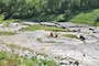 Devonian Fossil Gorge at Coralville Lake