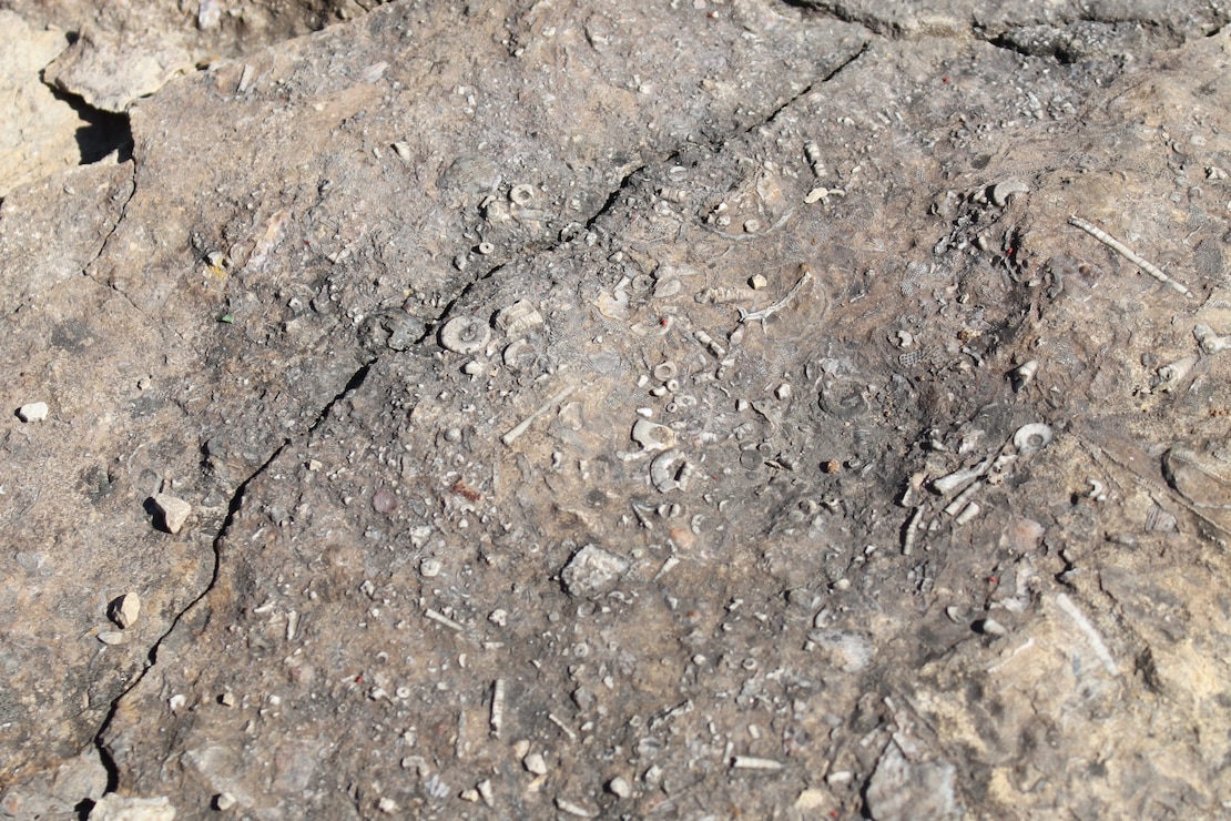 Devonian Fossil Gorge at Coralville Lake