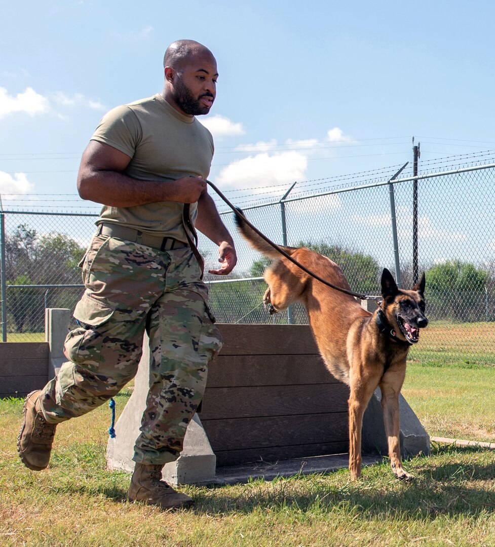 Security clearance dog training