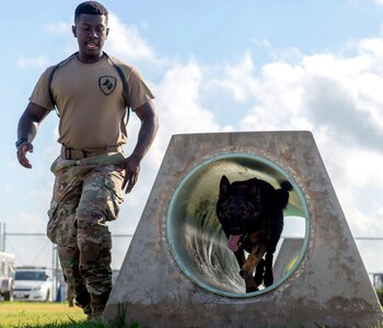 U.S. Air Force Senior Airman Keilen Evans, 902nd Security Forces Squadron military working dog handler, follows his MWD to the end of a tunnel during a training exercise