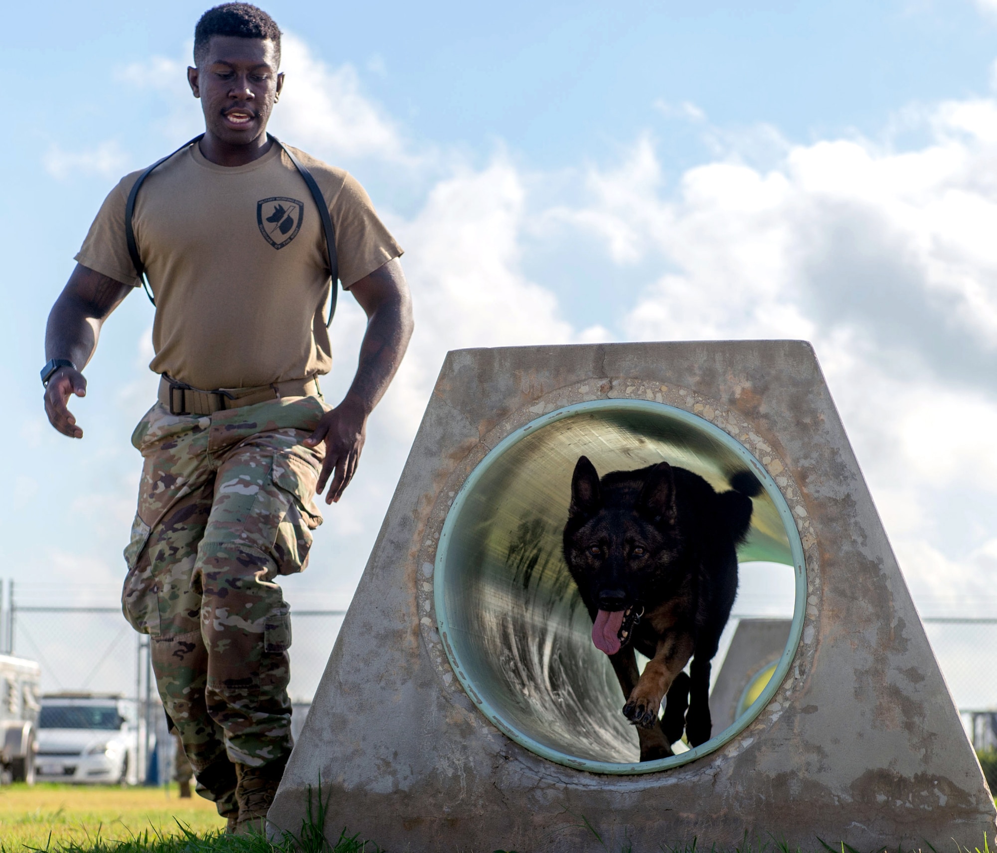 Types of military working hotsell dogs