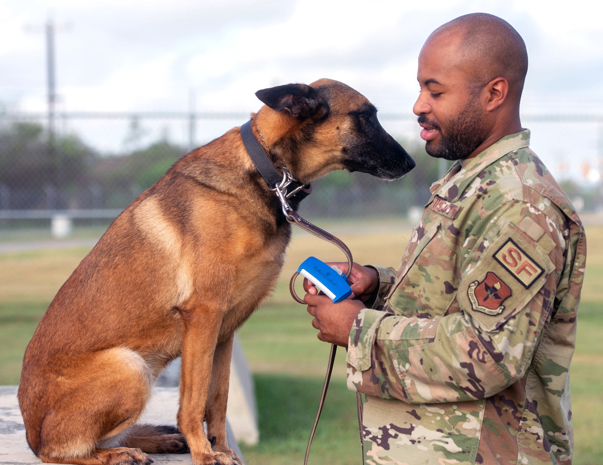 Military service sale dog breeds