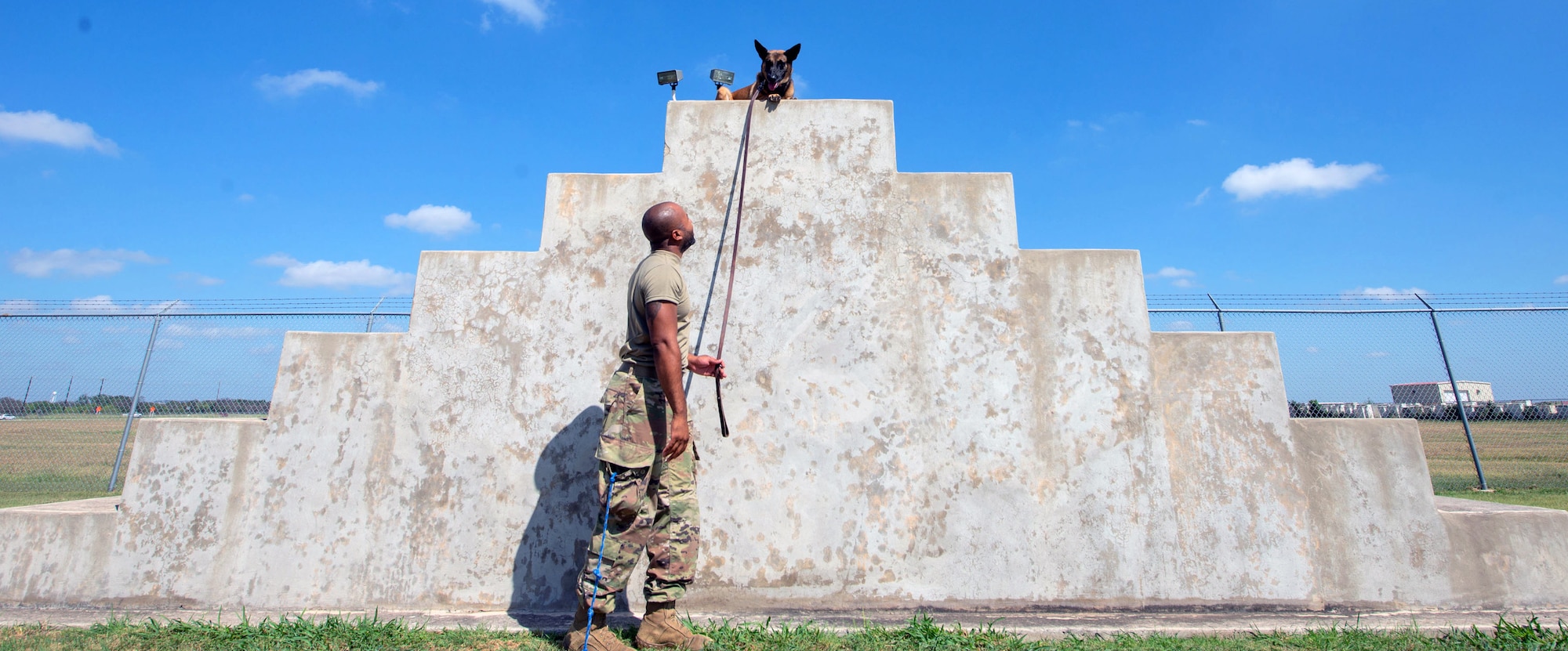 U.S. Air Force Senior Airman Taylor Bryant, 902nd Security Forces Squadron military working dog handler, commands his MWD to sit on top of a stair-step pyramid.