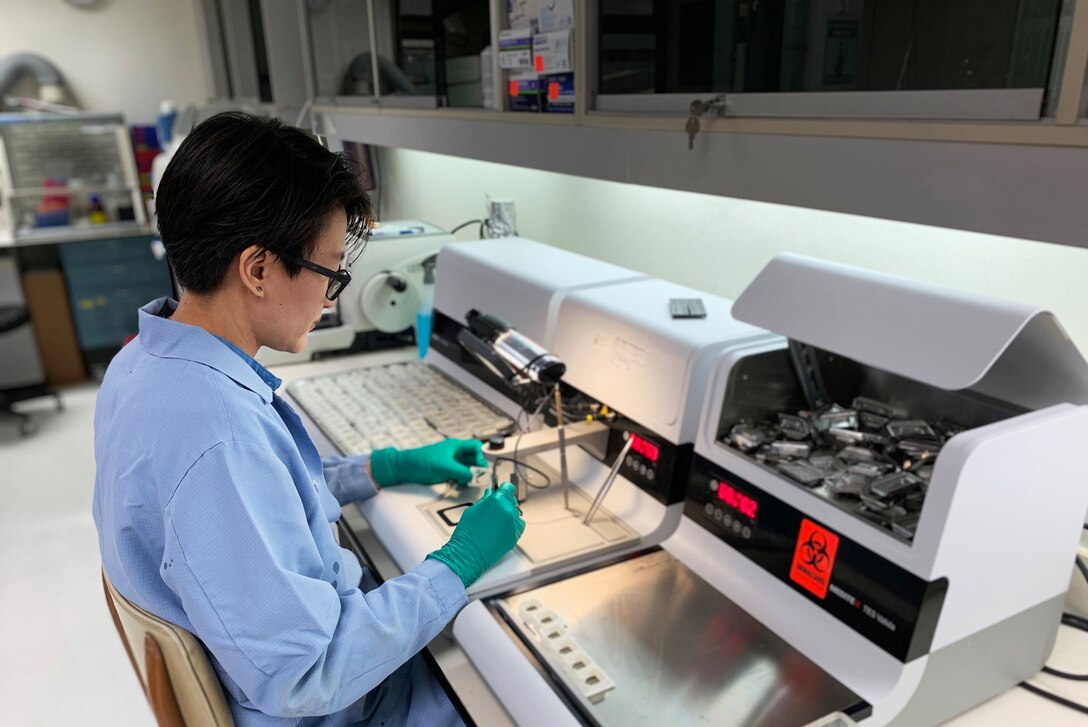 AFRIMS Veterinary Medicine scientist transfers tissue to a plate for analysis