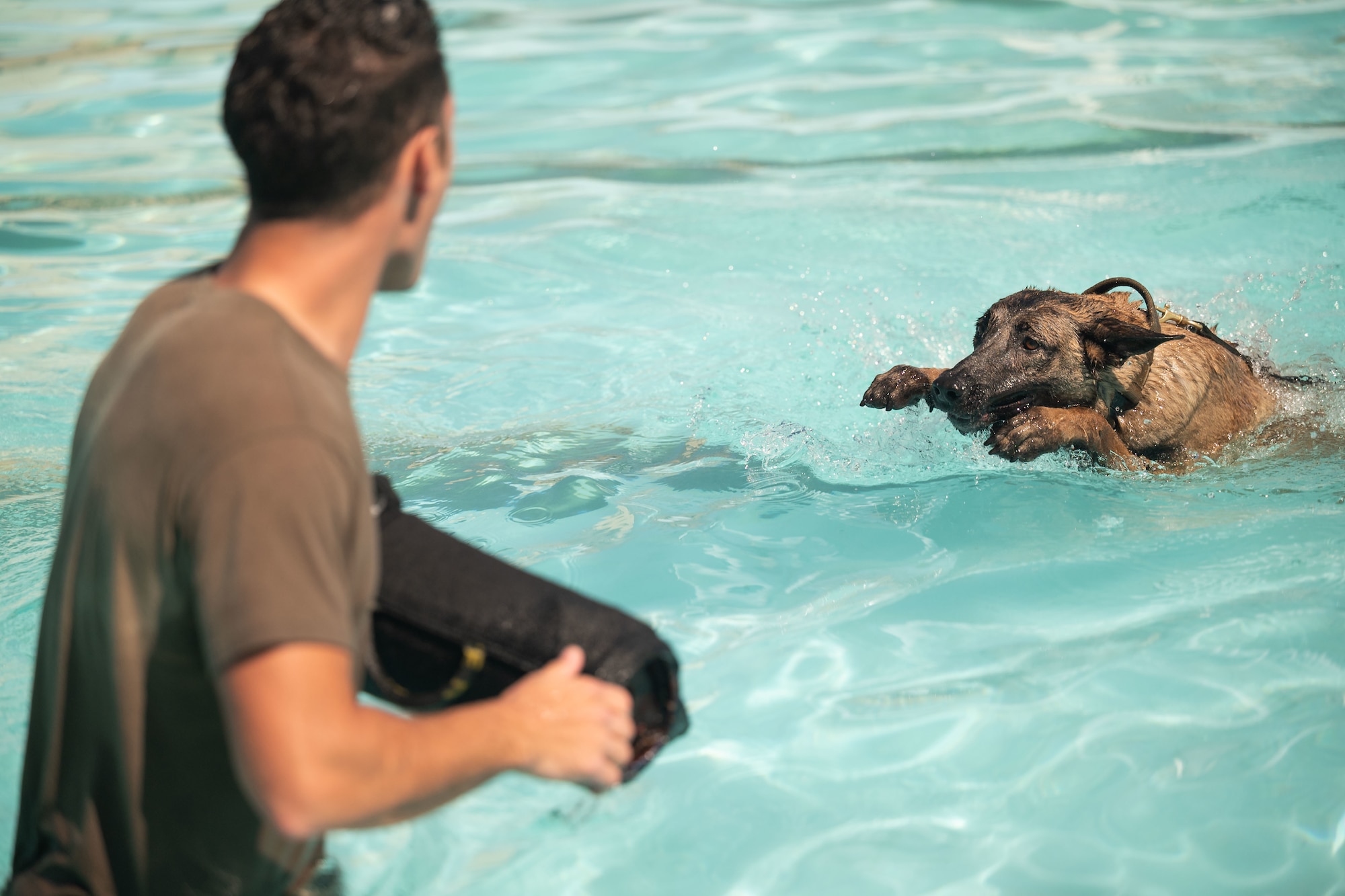 Photo of Airmen and K-9