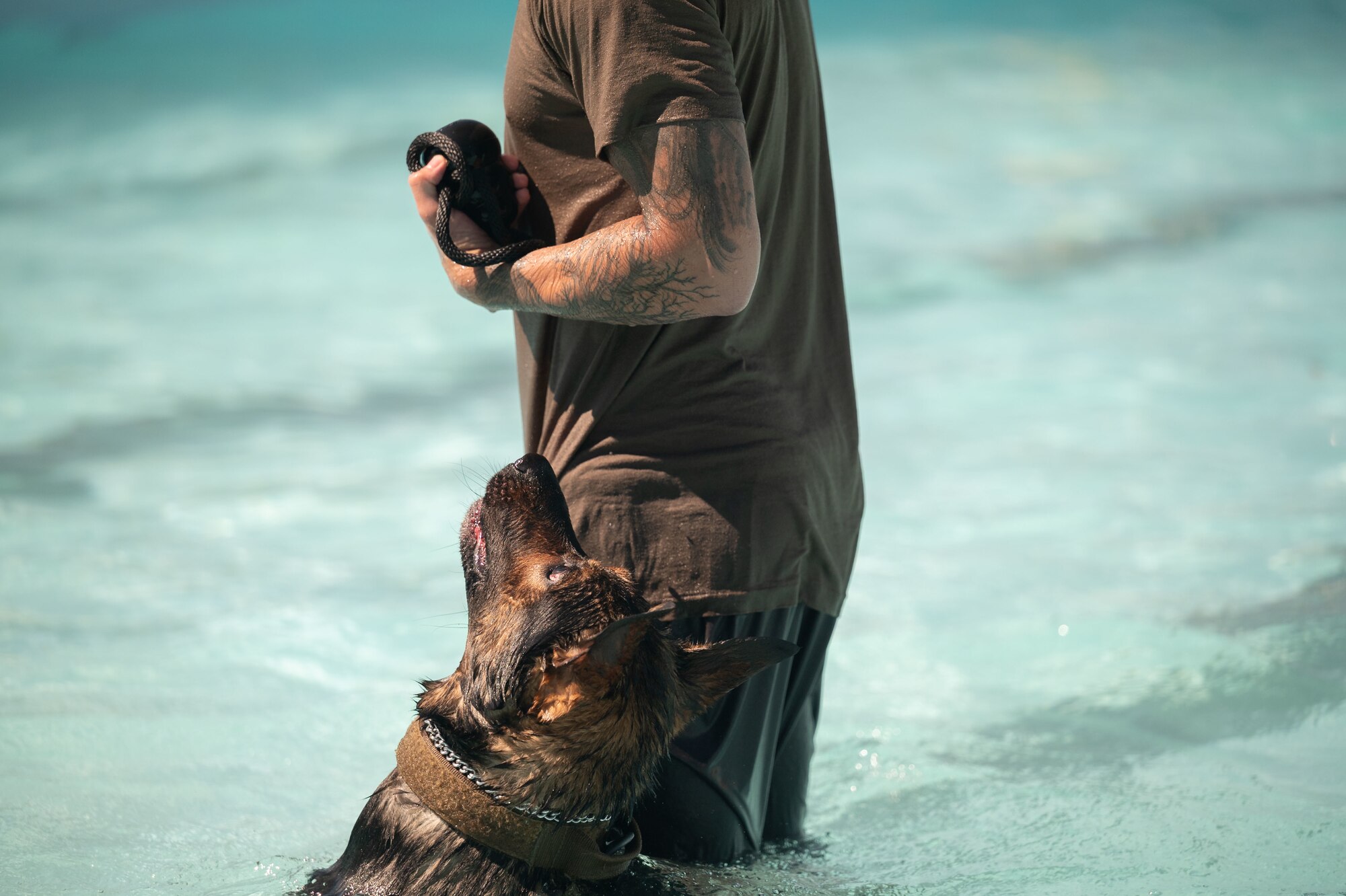 Photo of Airmen and K-9