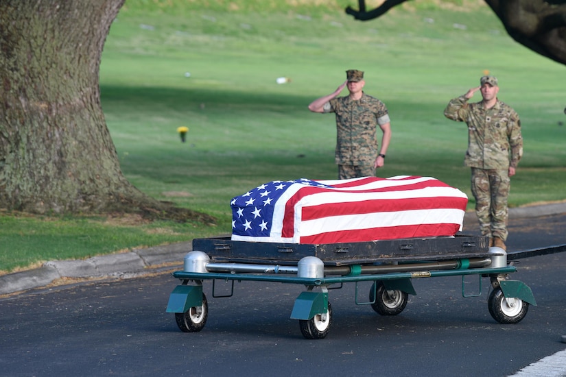 Troops salute as flag-draped coffin passes.