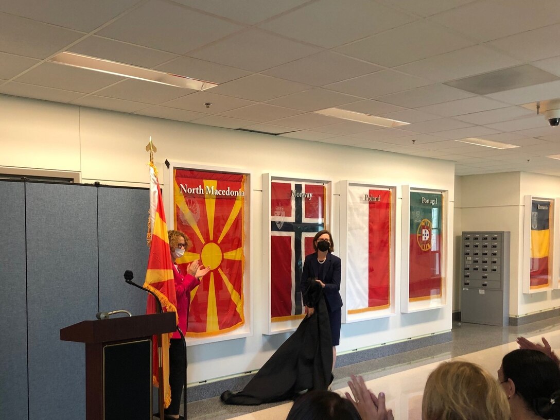 Two defense leaders unveil flag.