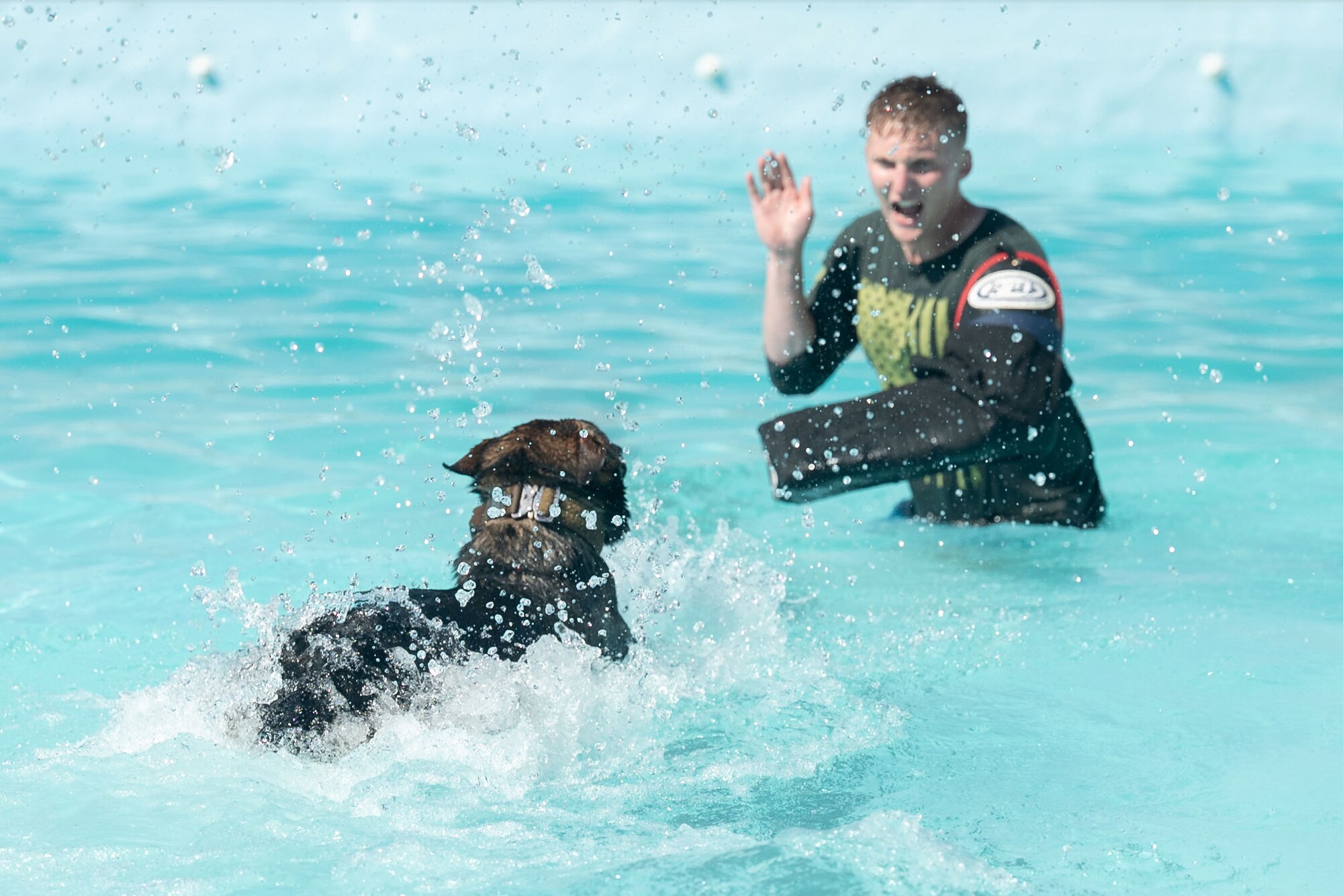Photo of Airmen and K-9