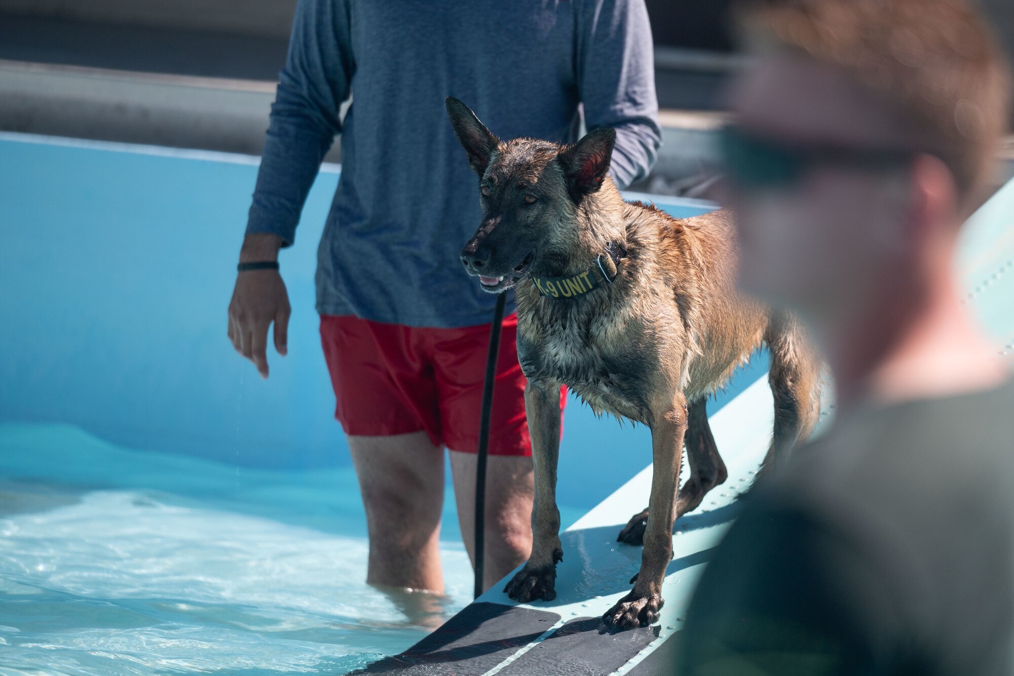 Photo of Airmen and K-9