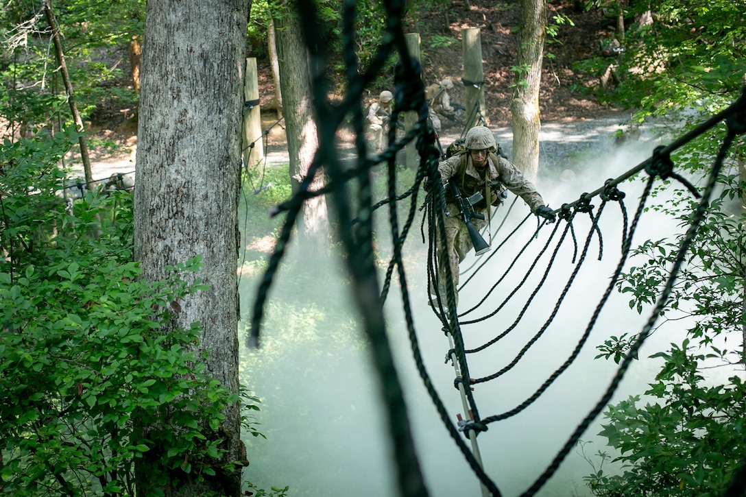 Marines cross a rope bridge in the woods.