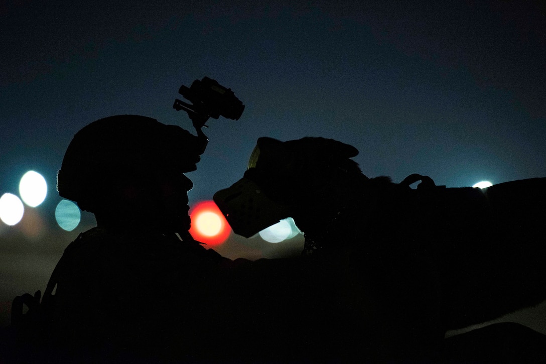 An airman kneels in front of a military working dog while wearing protective gear as shown in silhouette.