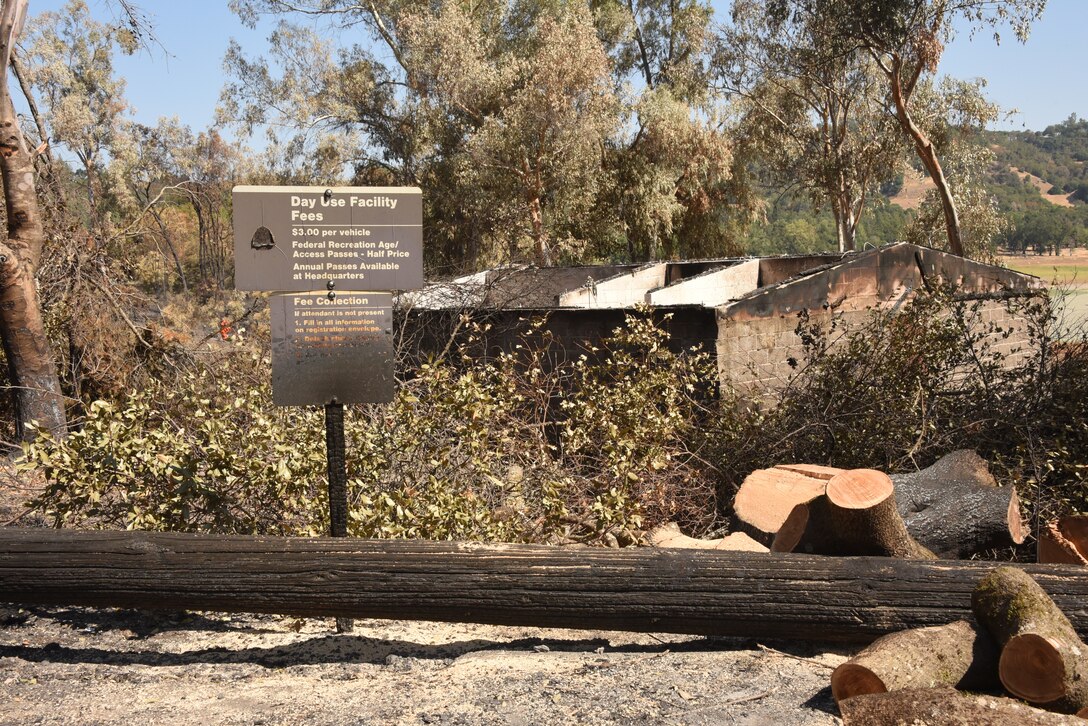 Fire damaged roofless building surrounded by blackened trees and burned sign