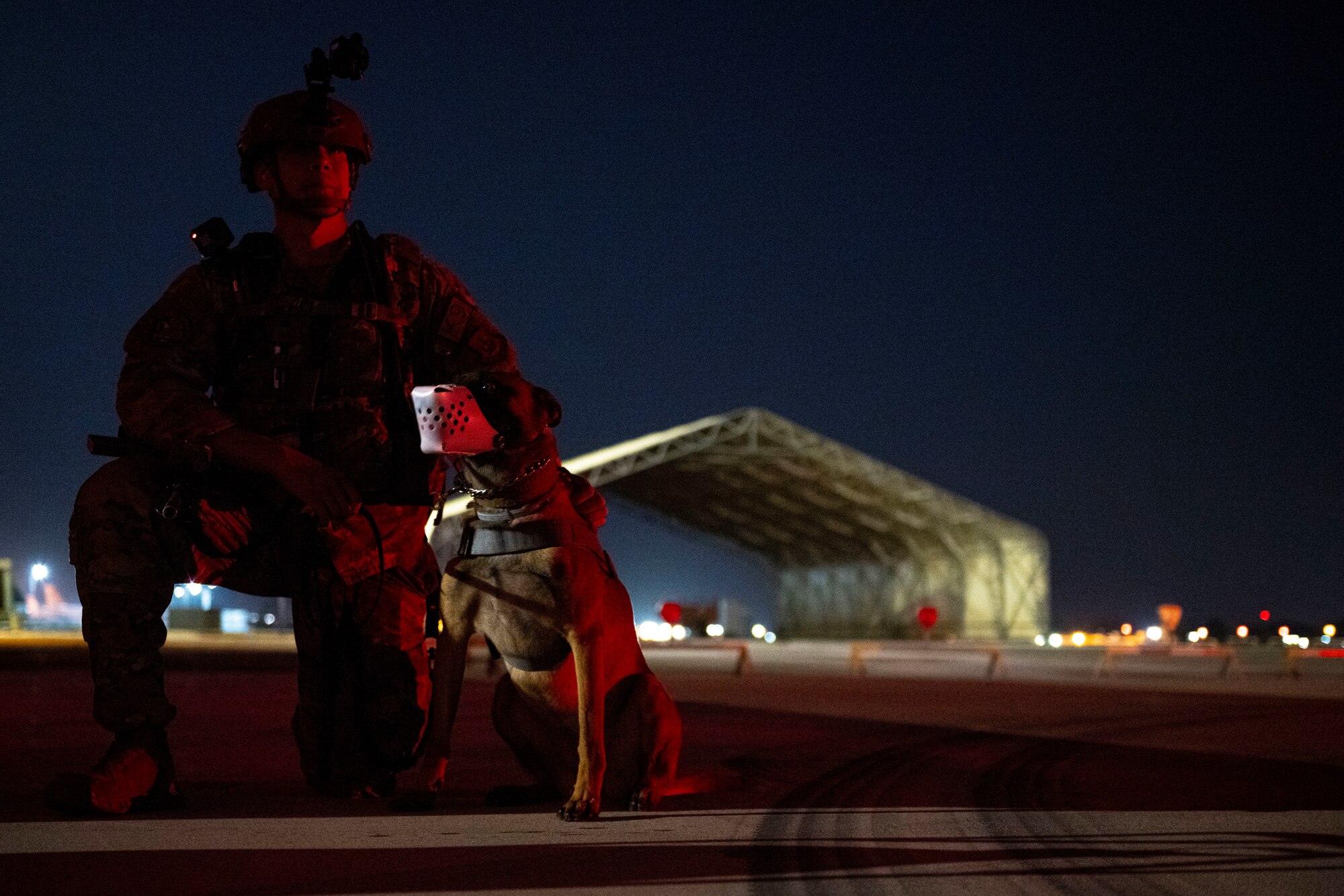 military working dog handler and his military working dog partner Ccura wait to board a U.S. Army UH-60 Black Hawk