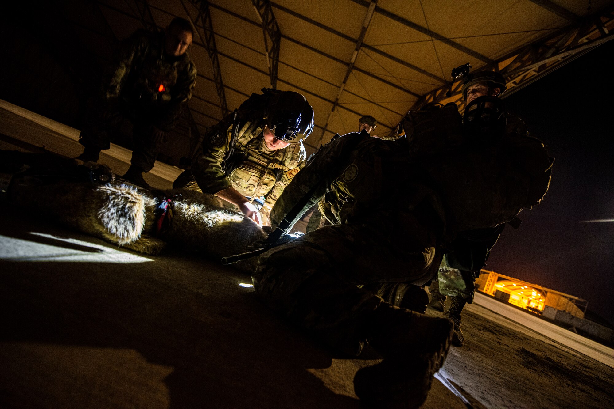 military working dog handler, performs tactical combat casualty care on a simulated dog