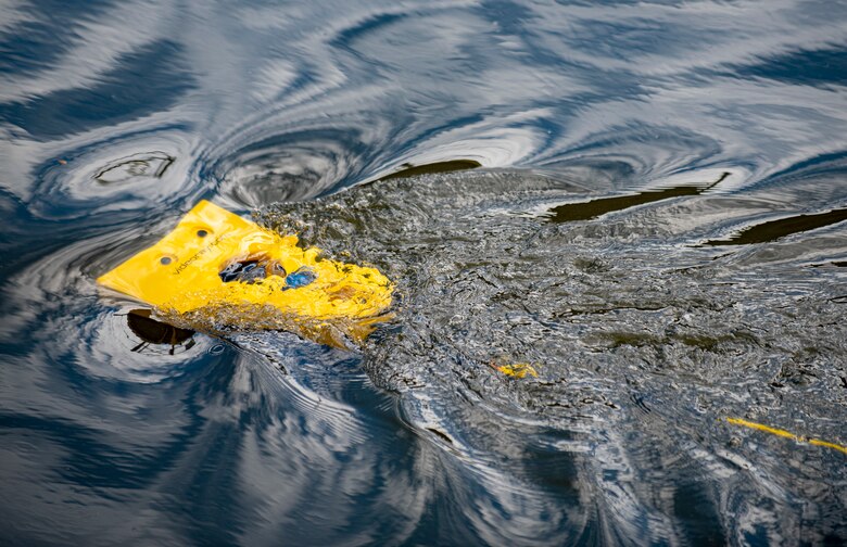 Underwater robot