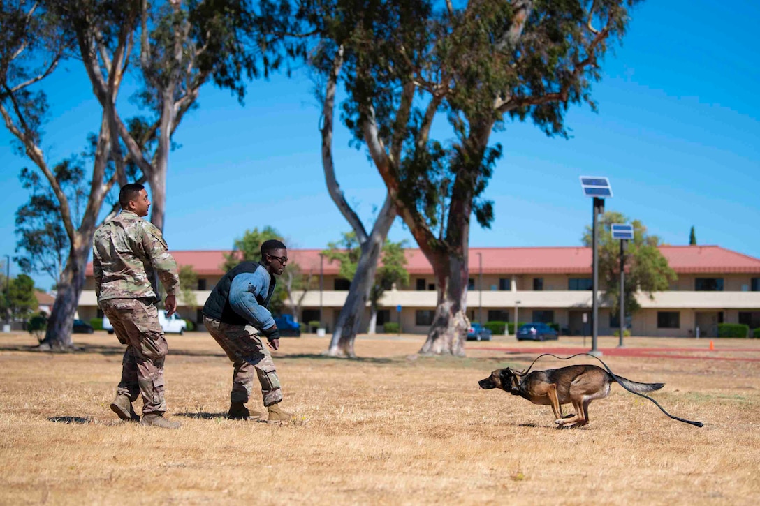 A dog runs toward two airmen.