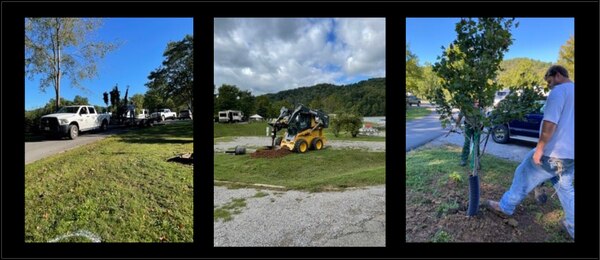 The Burnsville Lake team came together on September 23rd and 24th to plant 45 trees in Bulltown Campground in honor of National Public Lands Day.
