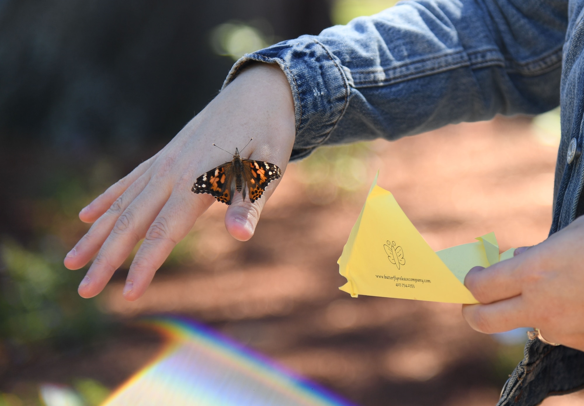 Brittney Aquino, wife of U.S. Air Force Chaplain (1st Lt.) Angel Aquino, 81st Training Wing chaplain, releases a butterfly during the Air Force Families Forever Fallen Heroes Butterfly Garden dedication ceremony at the marina park at Keesler Air Force Base, Mississippi, Sept. 24, 2021. The garden was created as a designated location where the families of our fallen heroes can find a serene area to pay tribute to their loved one as well as honoring our fallen service members. (U.S. Air Force photo by Kemberly Groue)