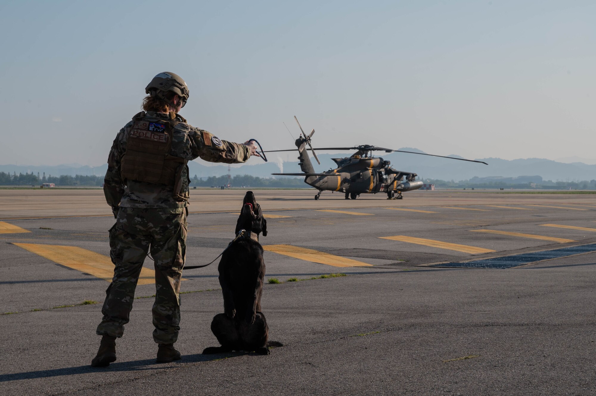 Staff Sgt. Christina Mallard, 51st Security Forces squadron, military working dog handler, prepares a MWD to board a U.S. Army HH-60 Black hawk