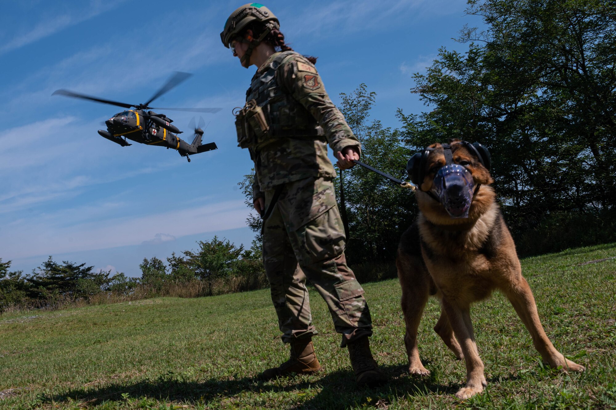 Senior Airman Cierra Ratliff, 51st Security Forces squadron, military working dog handler, stands alongside MWD Benny as she awaits the landing of a U.S. Army HH-60 Black Hawk