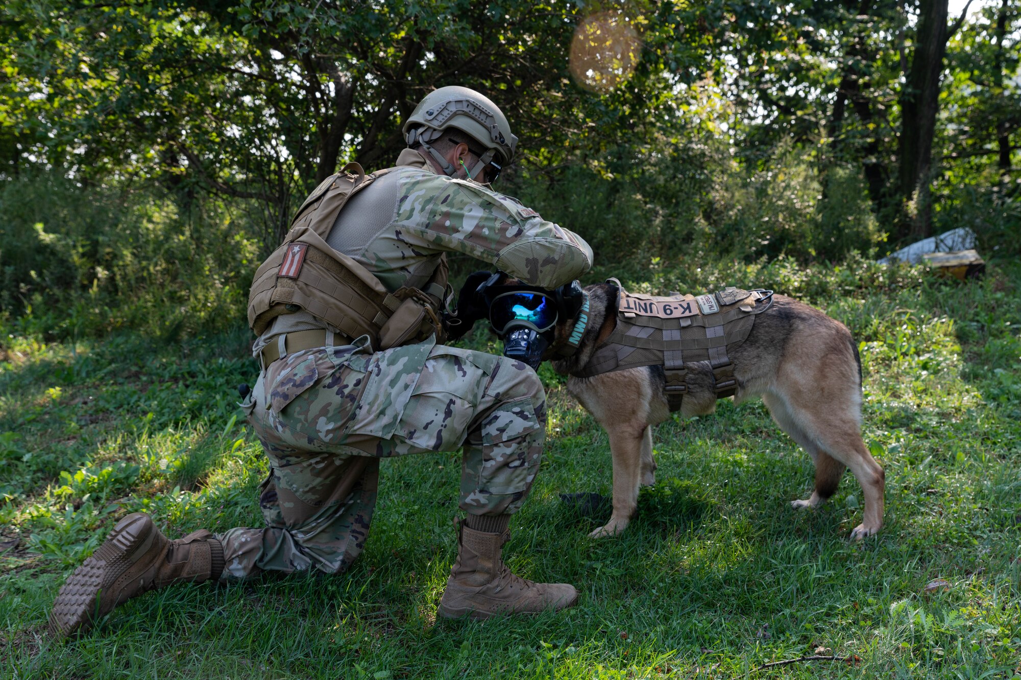 Staff Sgt. Brandon Mitchell, 51st Security Forces squadron, military working dog handler, secures protective eyewear on MWD Diego