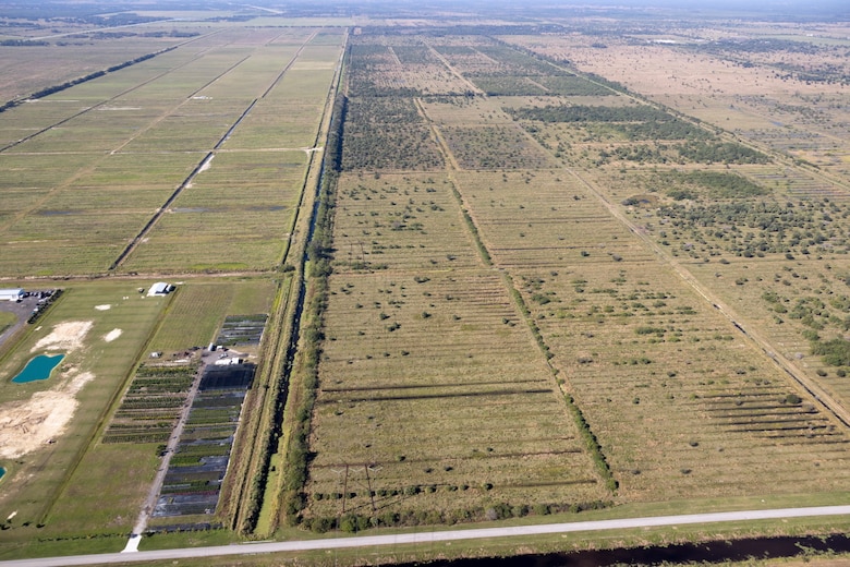 Photos of the area planned for construction taken from Dec 2020.