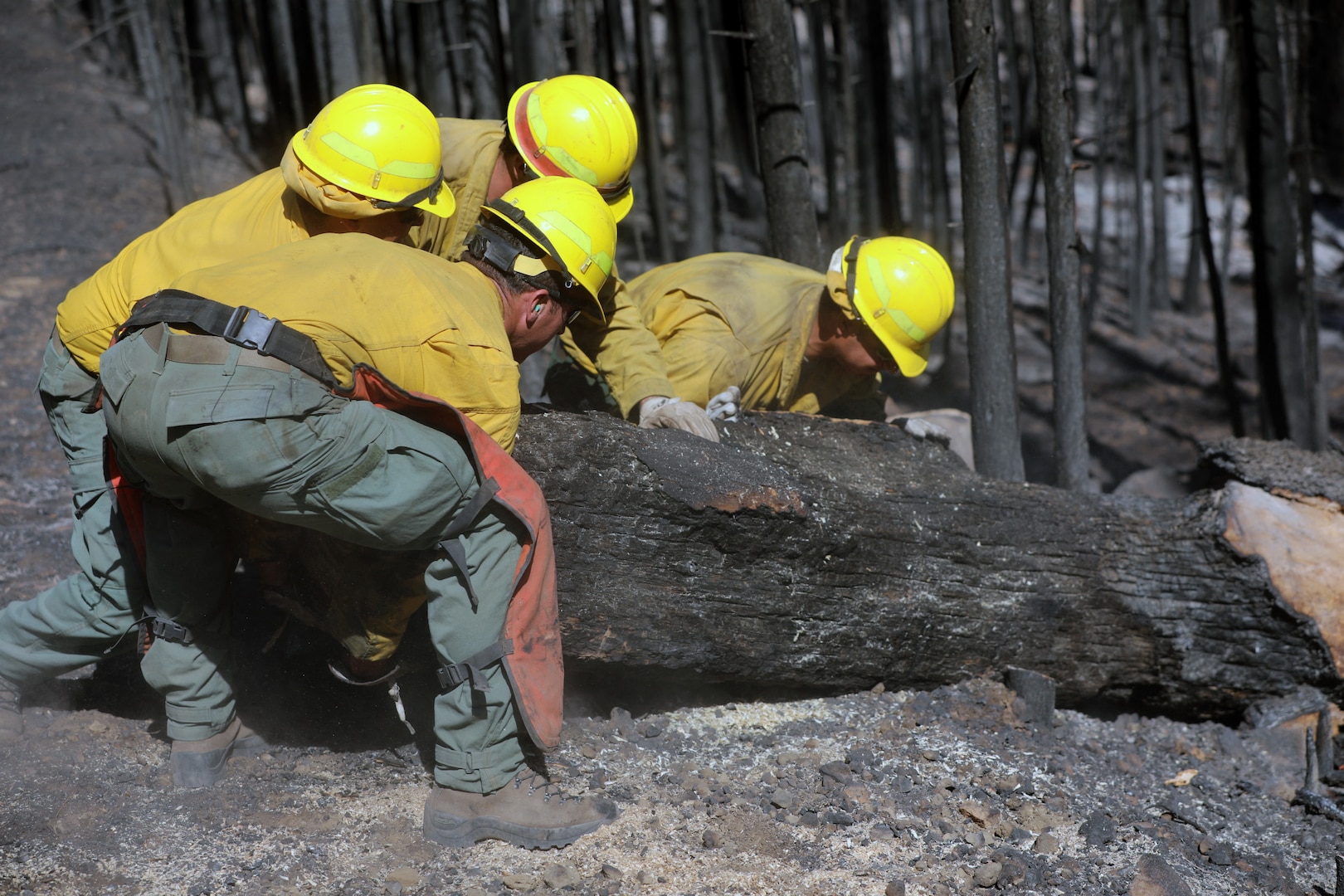 Soldiers remove fallen tree.
