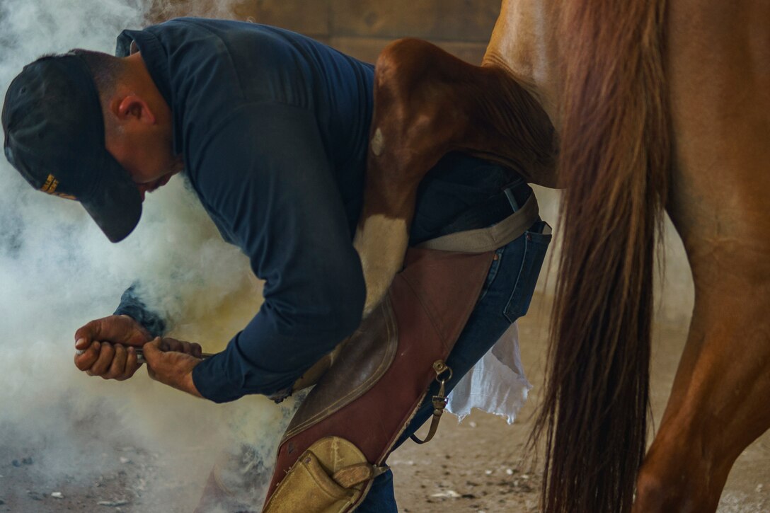 A soldier puts on a horse’s shoe.