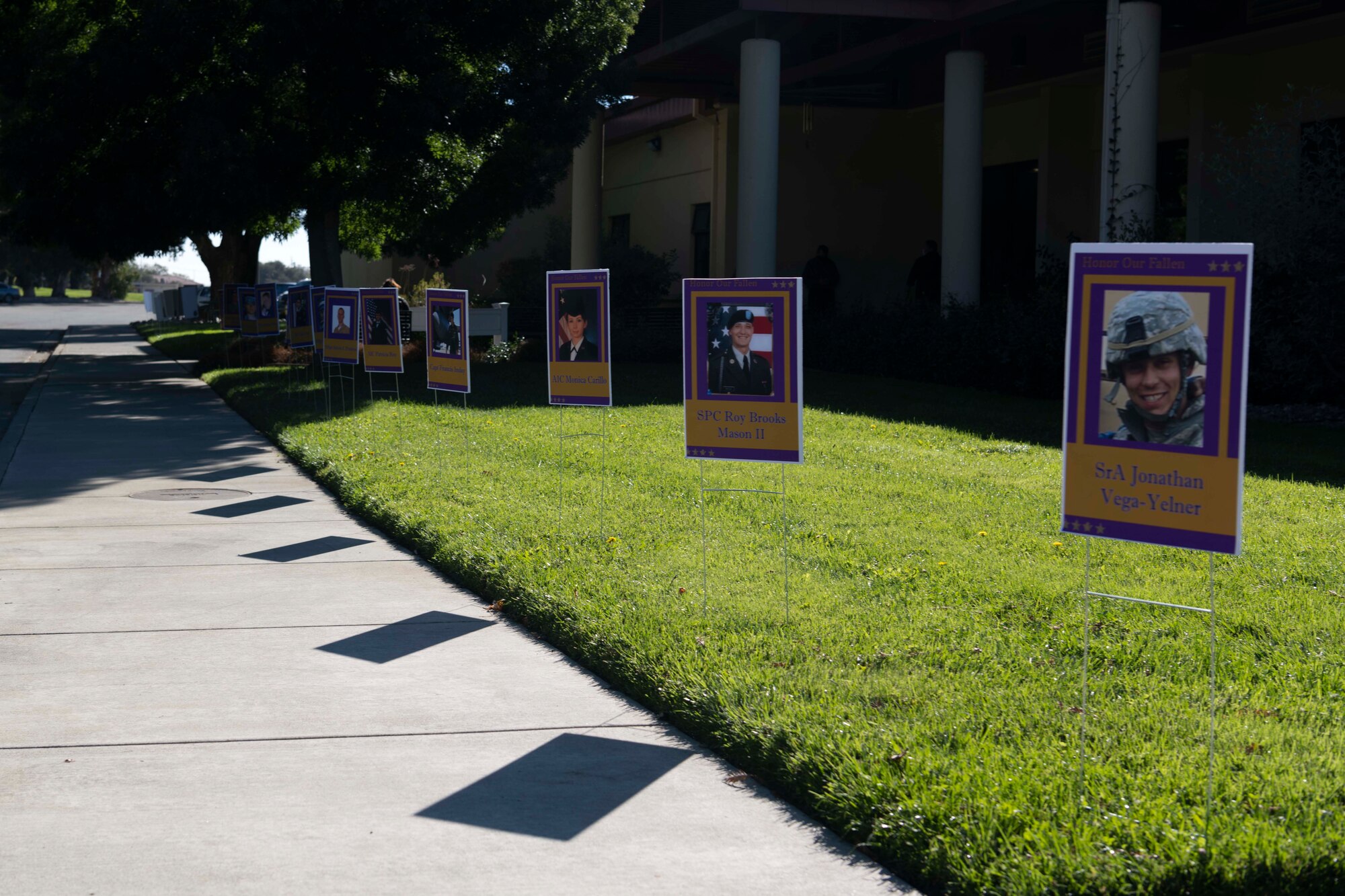 pictures lined up on grass