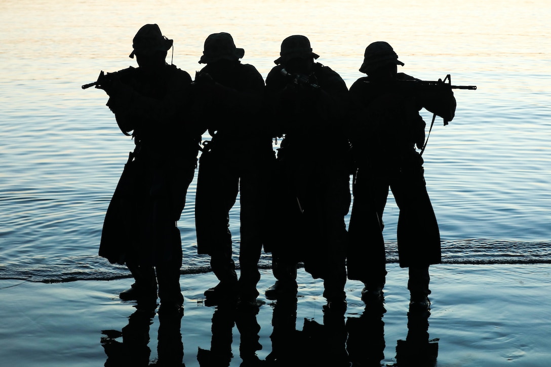 U.S. Marine Corps scout swimmers with 2nd Battalion, 5th Marine Regiment, 1st Marine Division, execute a small boat raid at Camp Pendleton, Calif., March 24, 2022. Gaining proficiency in small boat tactics increases the unit's capability to operate in the littoral environment.