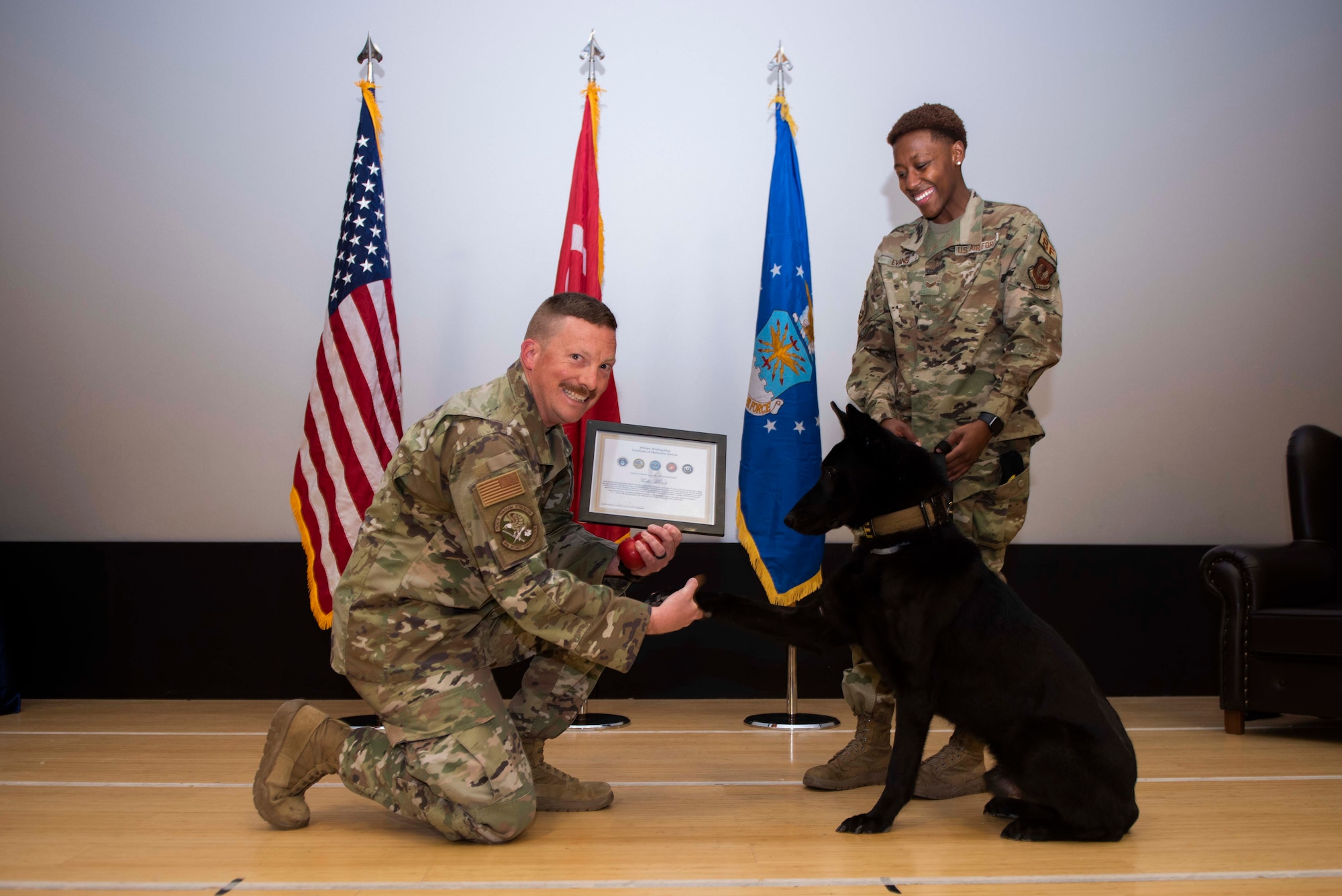 Airman presents retirement certificate to military working dog