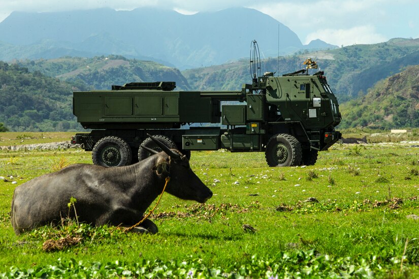 A Marine Corps vehicle sits in a field as a cow-type animal sits nearby.