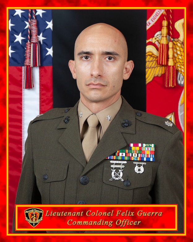 Commanding Officer, 3d Battalion, 3d Marines
