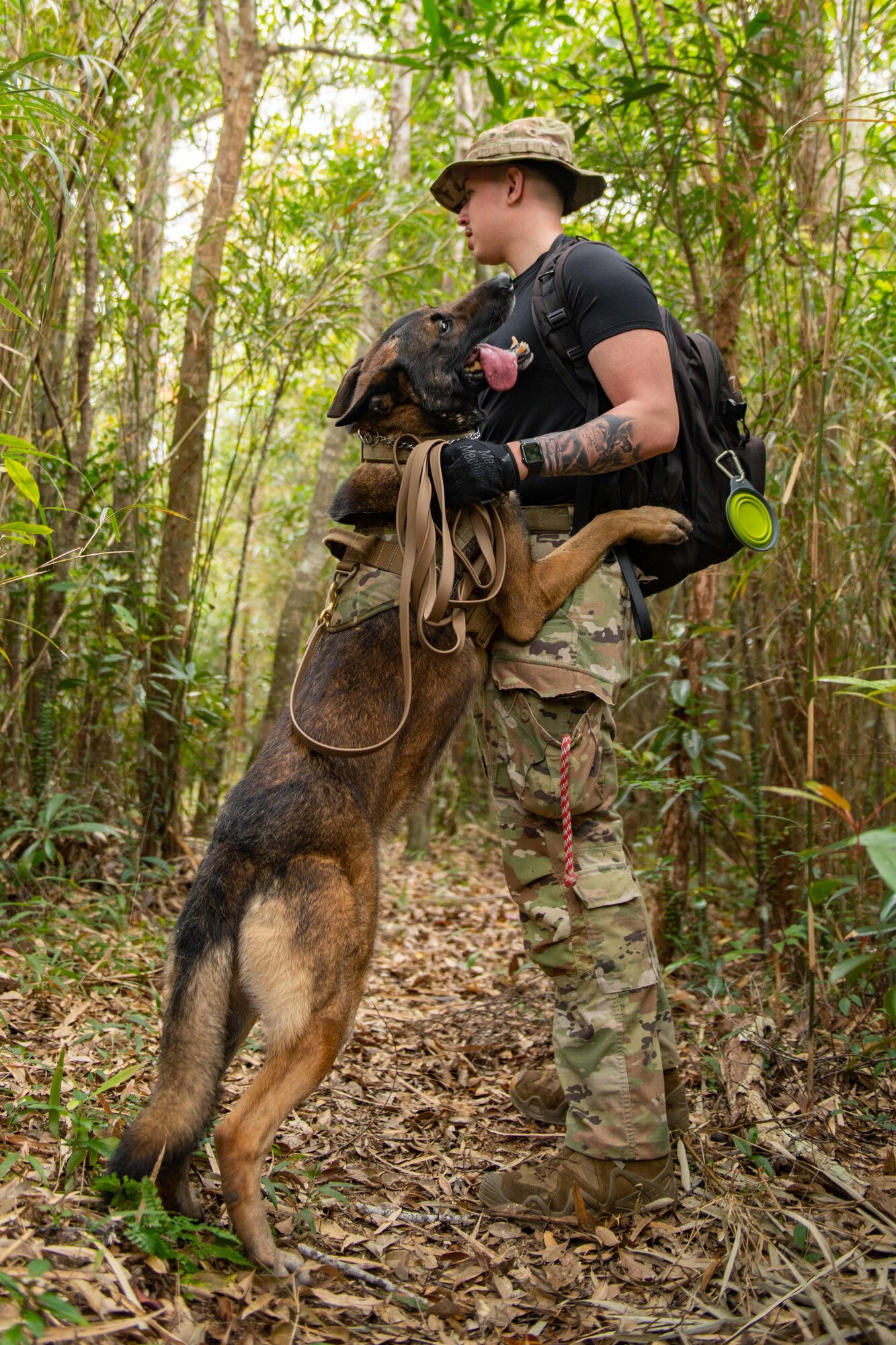 A military working dog hops up on his handler in the jungle
