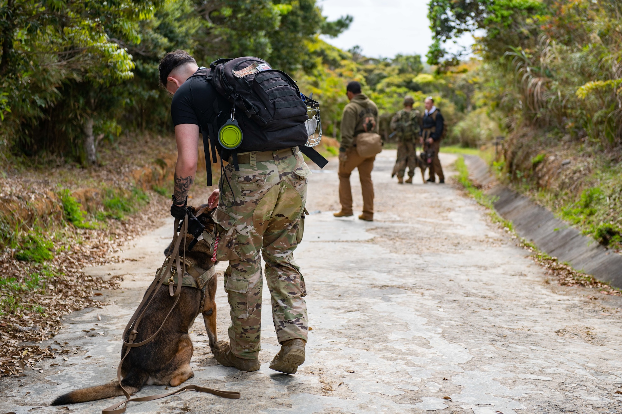 Group of air force military working dog handlers, their two dogs, and a marine discuss their next step on a path in the jungle