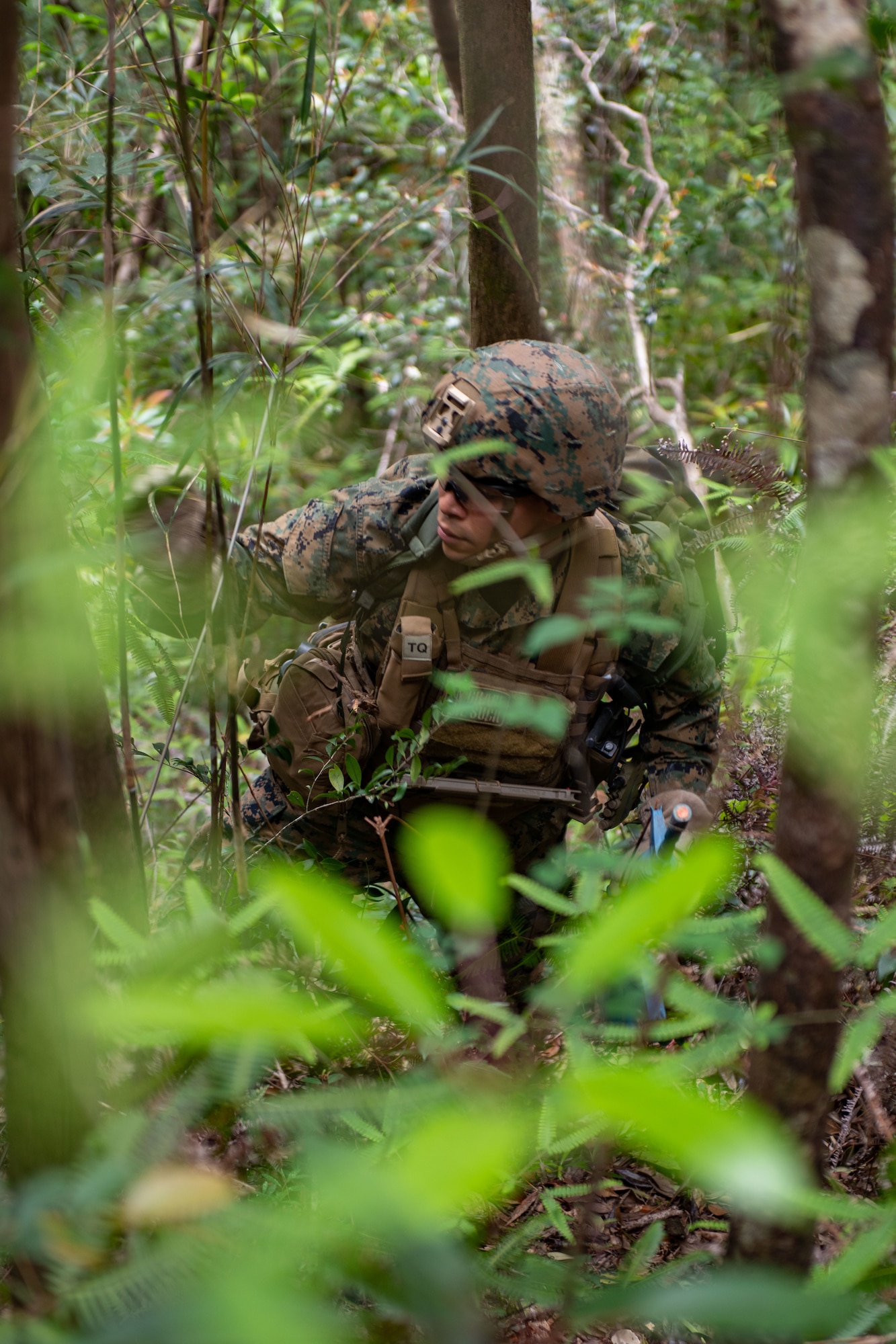 A Marine treks upwards through thick green vegetation
