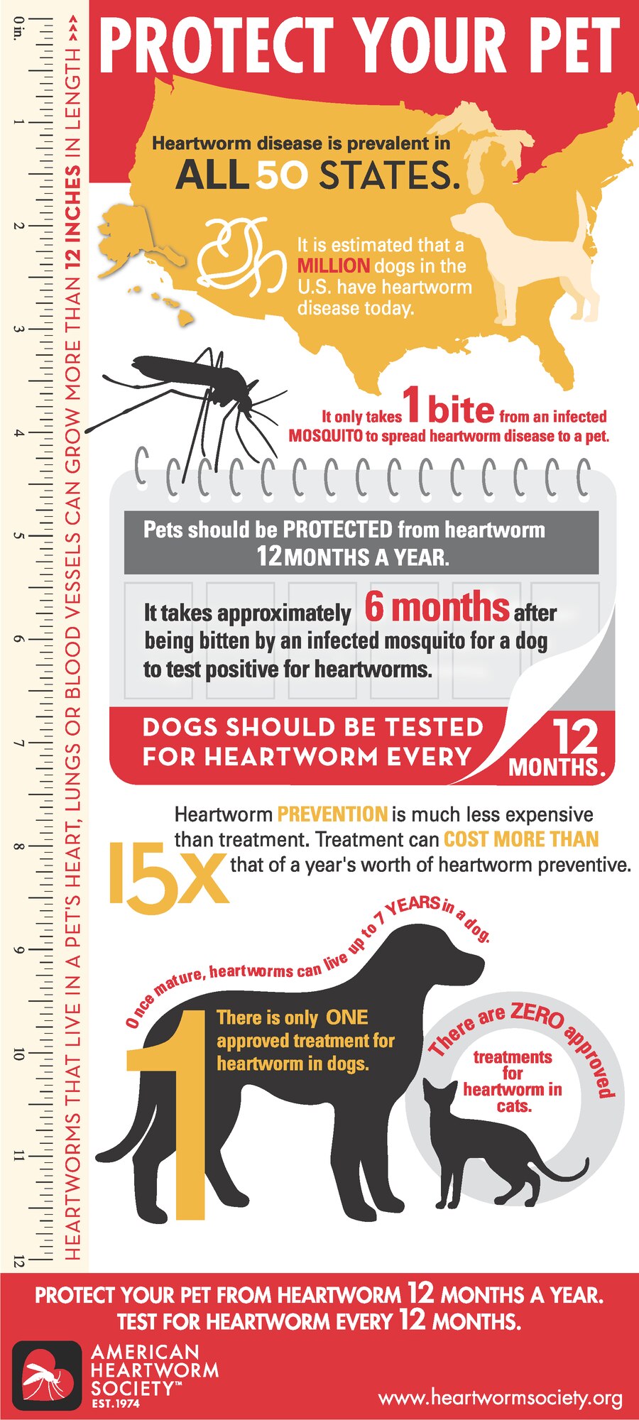 Poster showing illustrations of animals and giving facts about heartworm infection and protection.