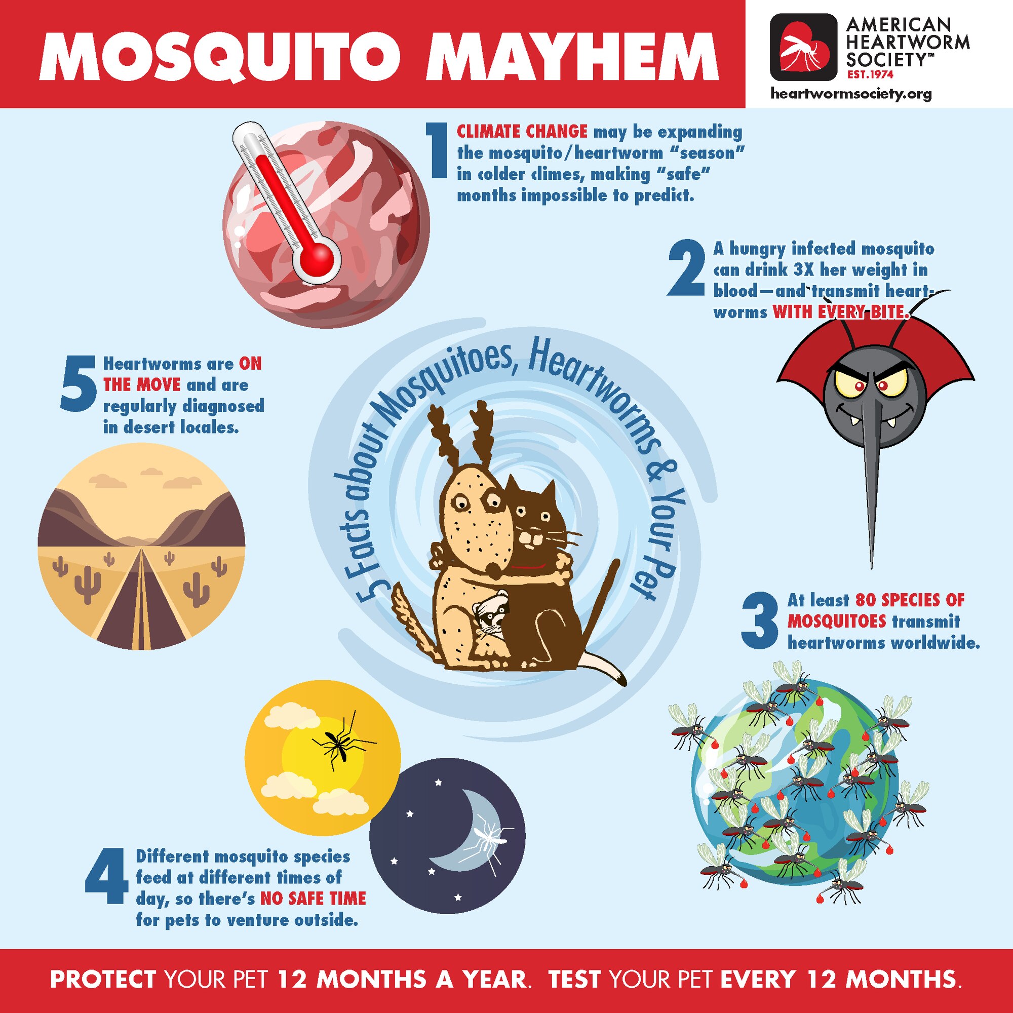 Poster showing animal illustrations and five facts about mosquitoes and heartworms.