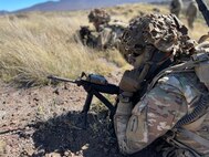 Army Reserve Soldiers and Leaders Shaping Tomorrow