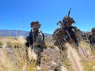 Army Reserve Soldiers and Leaders Shaping Tomorrow