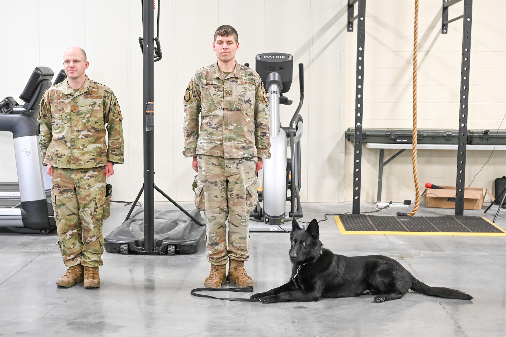 Military working dog Tusko sitting during retirement ceremony