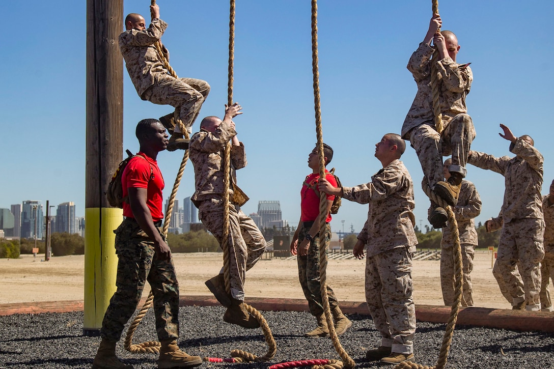 Marine Corps recruits climb ropes during a class.