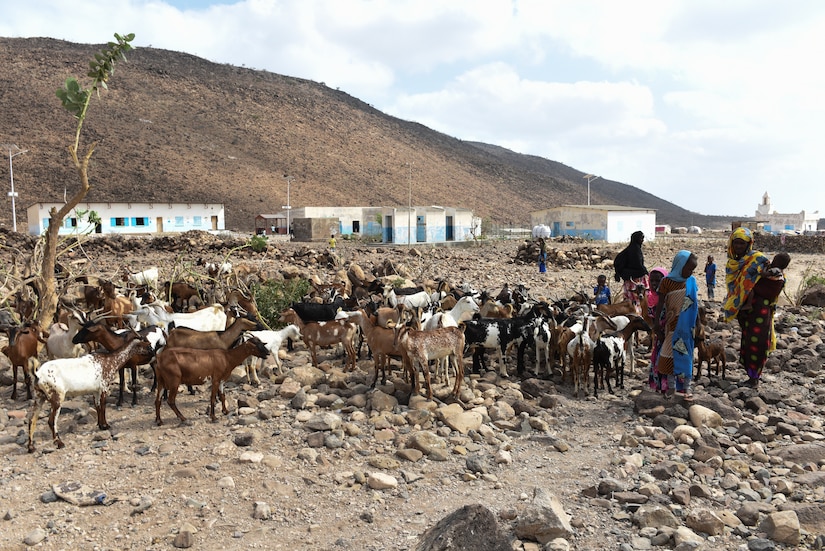 Civil Affairs Soldiers, Djiboutians work together to treat livestock