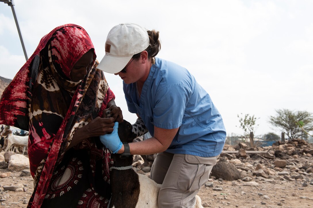 Civil Affairs Soldiers, Djiboutians work together to treat livestock