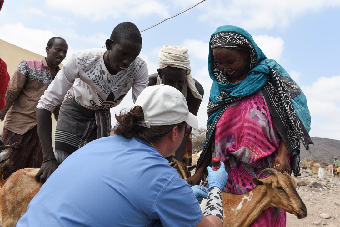 Civil Affairs Soldiers, Djiboutians work together to treat livestock