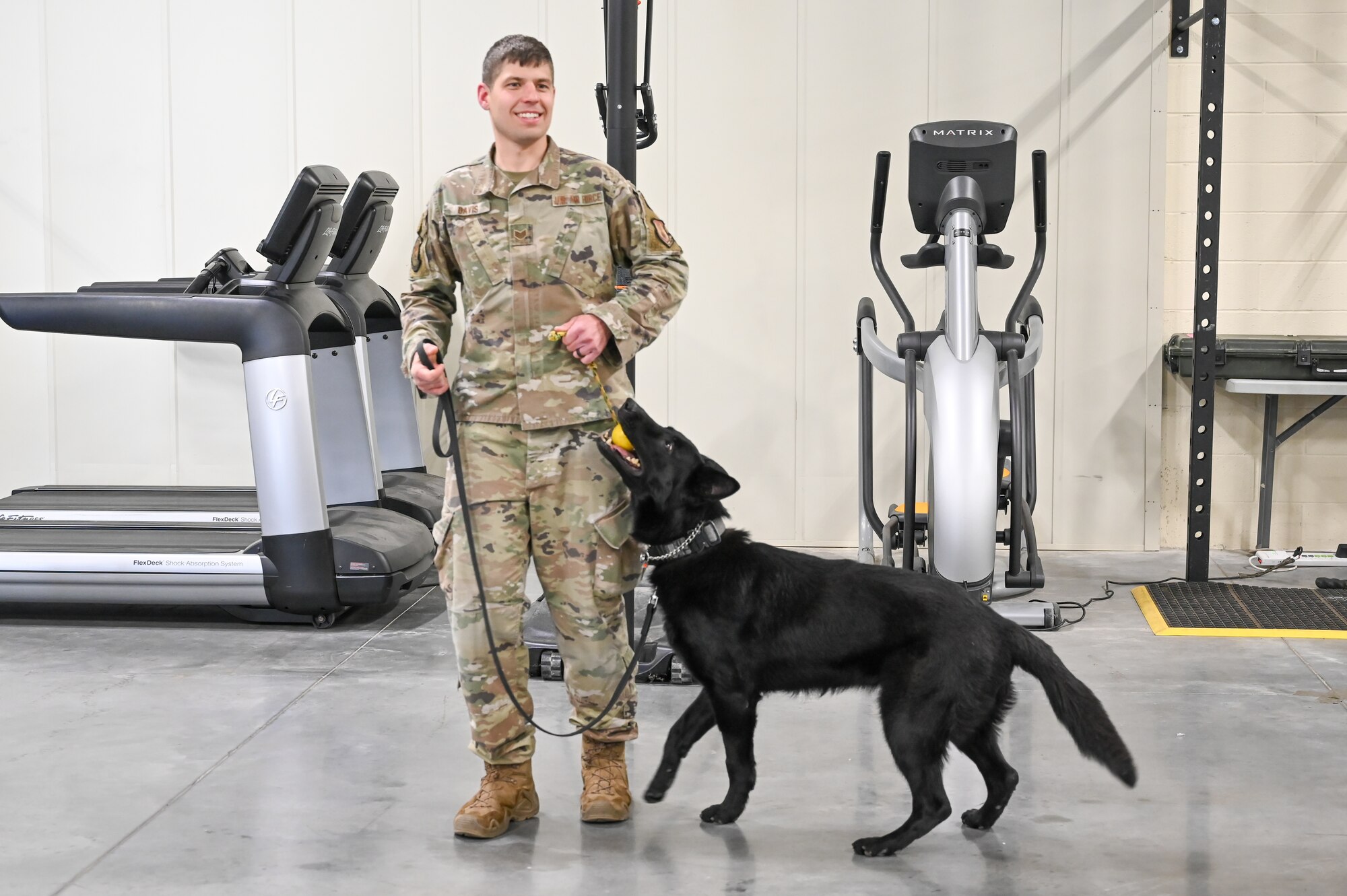 Military working dog Tusko sitting during retirement ceremony
