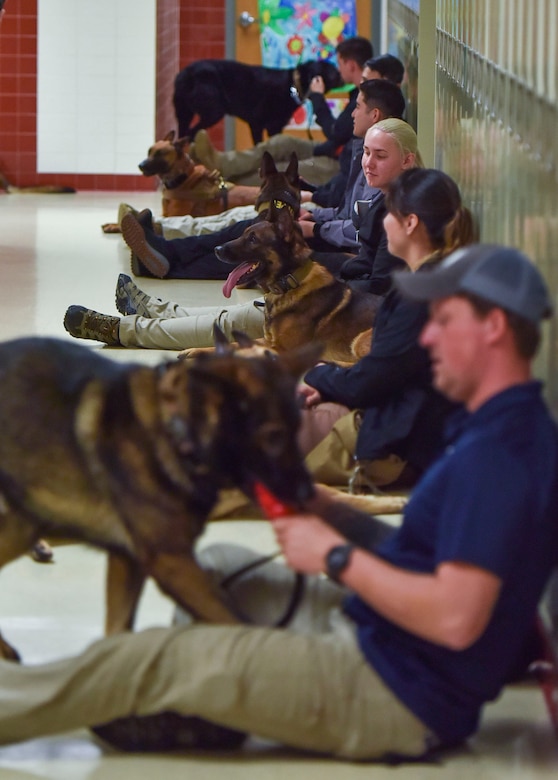 The 316th Security Support Squadron military working dog handlers and their MWDs take a break from training at the Multi-Agency K-9 Explosive Training Event at Thomas A. Edison High School in Alexandria, Va., Apr. 6, 2022. The handlers had the opportunity to train on multiple different odors and explosive types that are not available in their normal training regiments. (U.S. Air Force photo by Airman 1st Class Austin Pate)